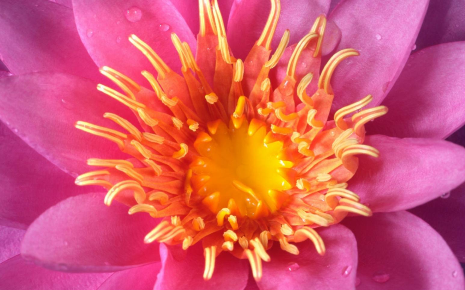 Students working on game development projects using professional software and tools