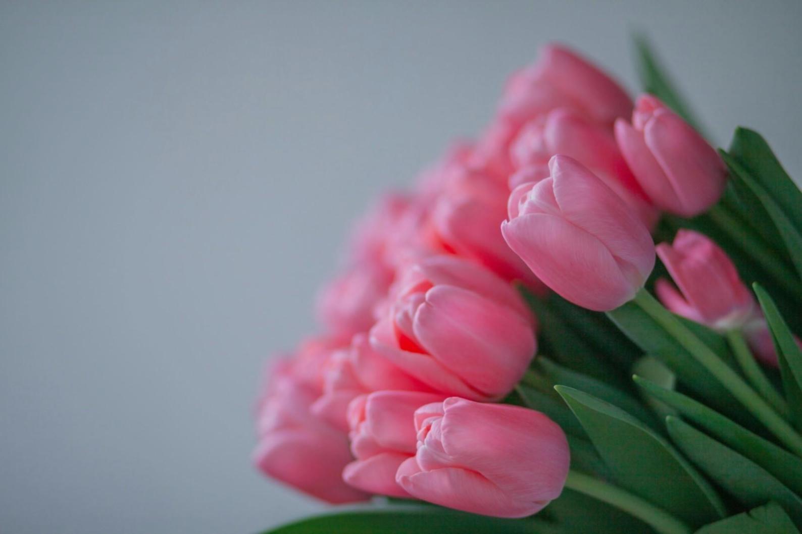 Student working on game development project