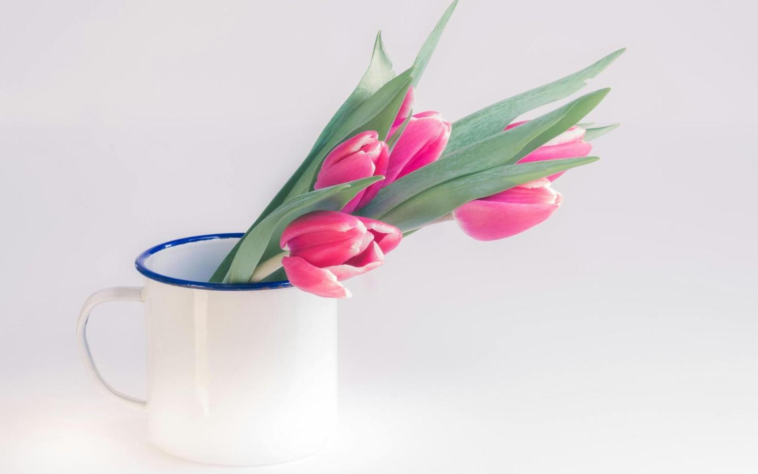 Students collaborating on game development projects using modern development tools